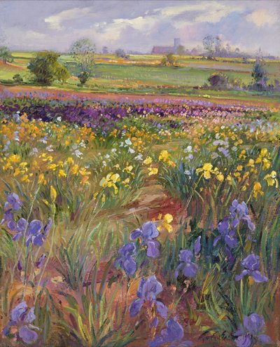 Towards Burgate Church by Timothy Easton